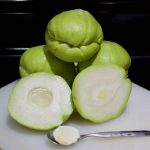 Chayote – Cut The Crap Kitchen – Costa Rica