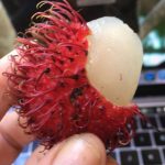 Mamón Chino – Rambutan – Cut The Crap Kitchen – Costa Rica