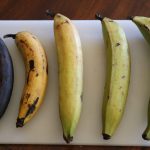 Plantain Ripeness – Cut The Crap Kitchen – Costa Rica