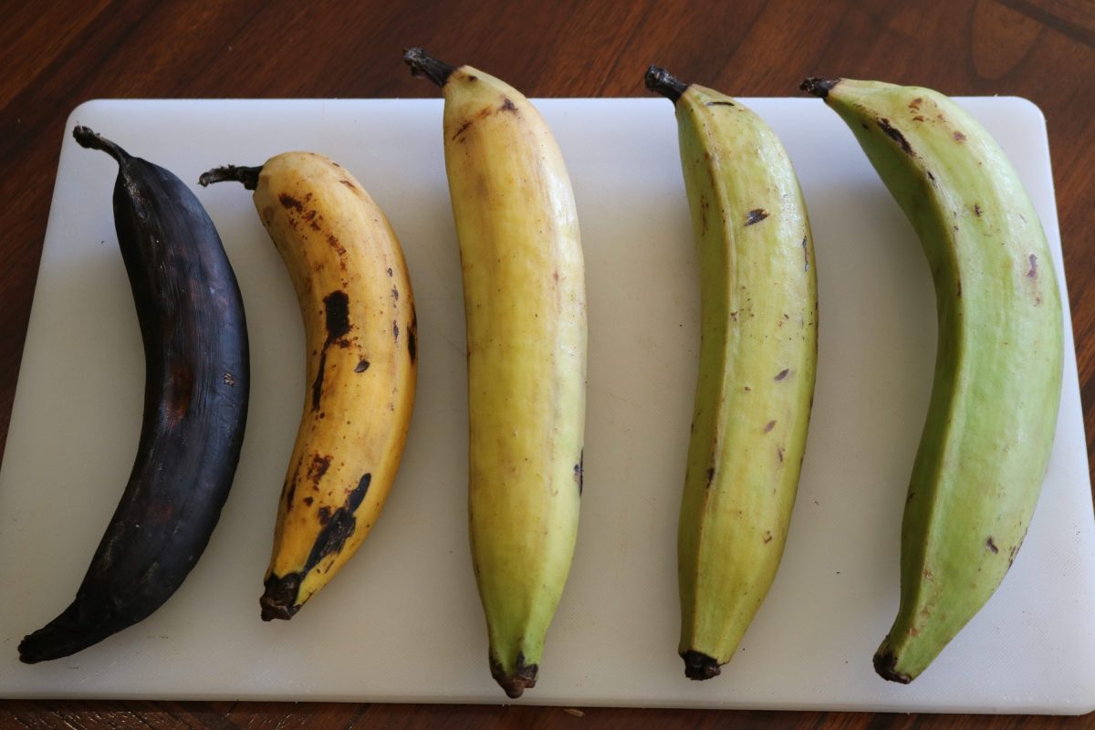 Черная экзотика на мясном банане HD