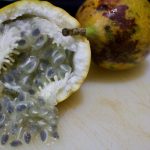 Granadilla – Cut The Crap Kitchen – Costa Rica