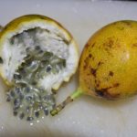 Granadilla – Cut The Crap Kitchen – Costa Rica