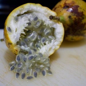 Granadilla - Cut The Crap Kitchen - Costa Rica