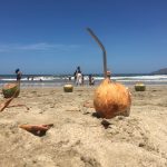 Coconut Water - Cut The Crap Kitchen - Costa Rica