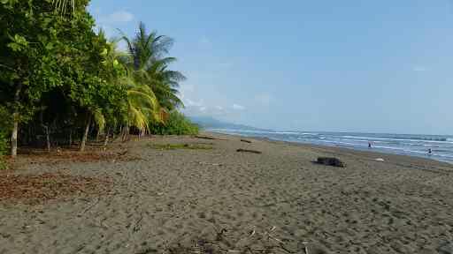 Costa Rica Beach - Cut The Crap Costa Rica