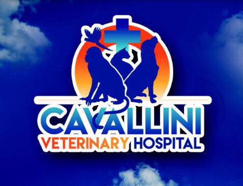 Cavallini Veterinary Hospital