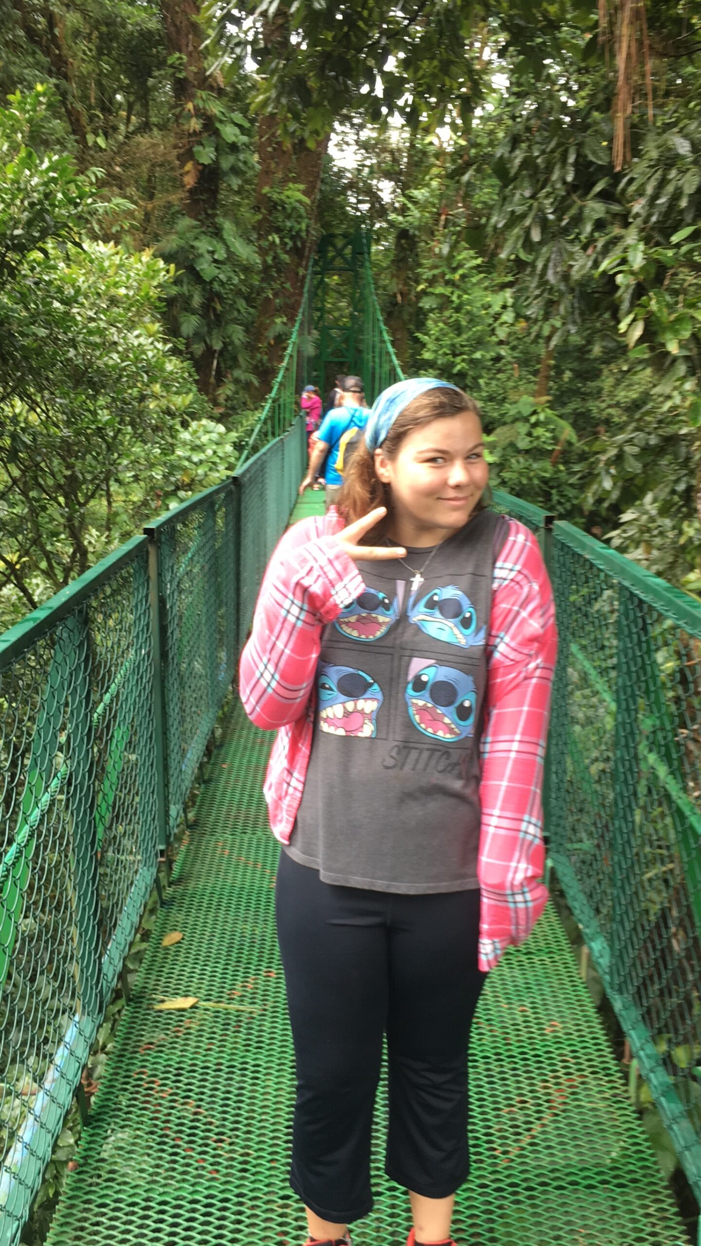 Monteverde Cloud Forest Reserve-Sky Walk Suspension Bridges-Taya