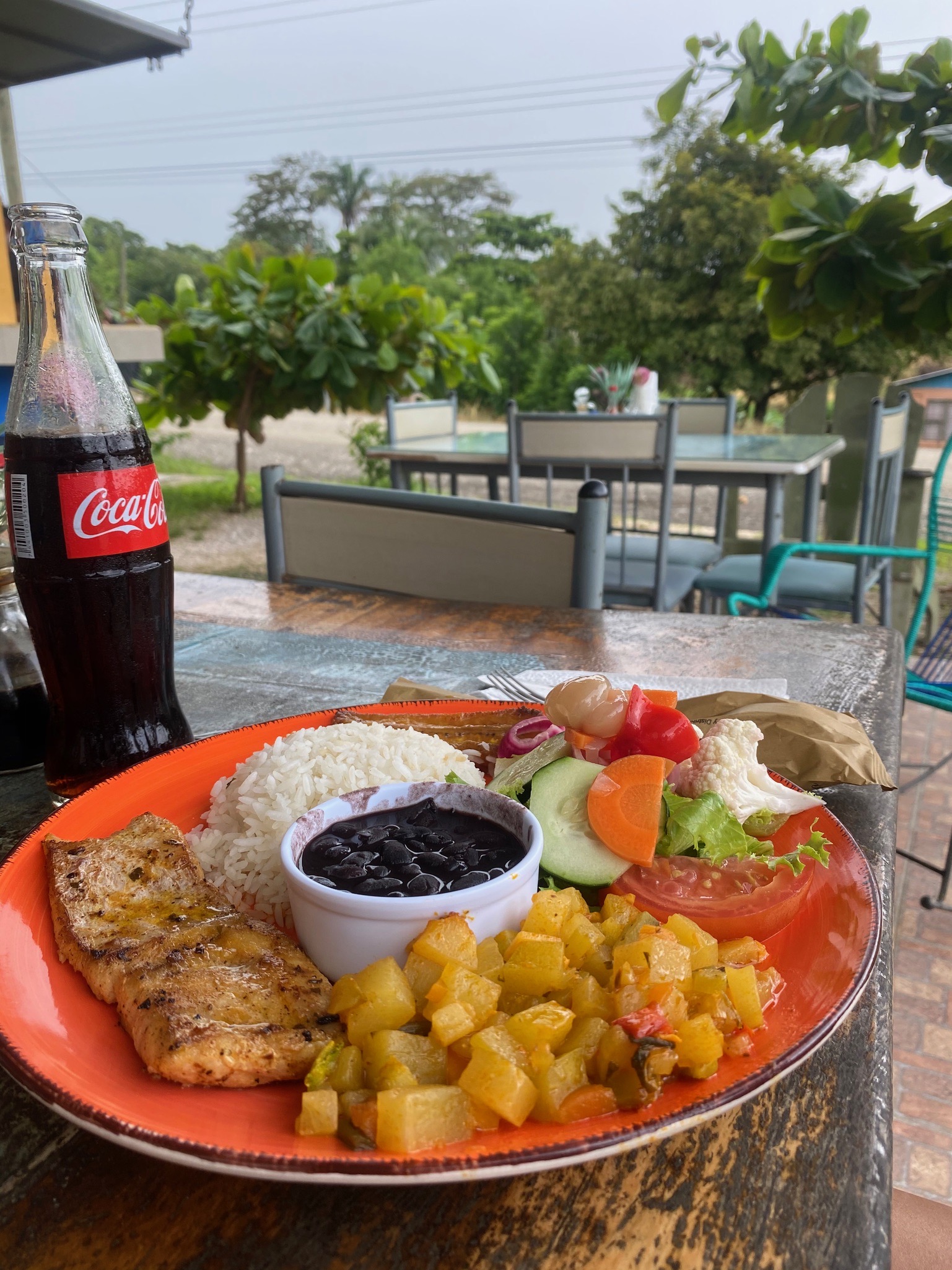 Costa Rica cuisine, chicken, beans and rice, gallo pinto