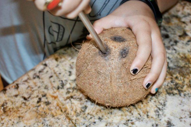 Coconut Water - Cut The Crap Kitchen - Costa Rica