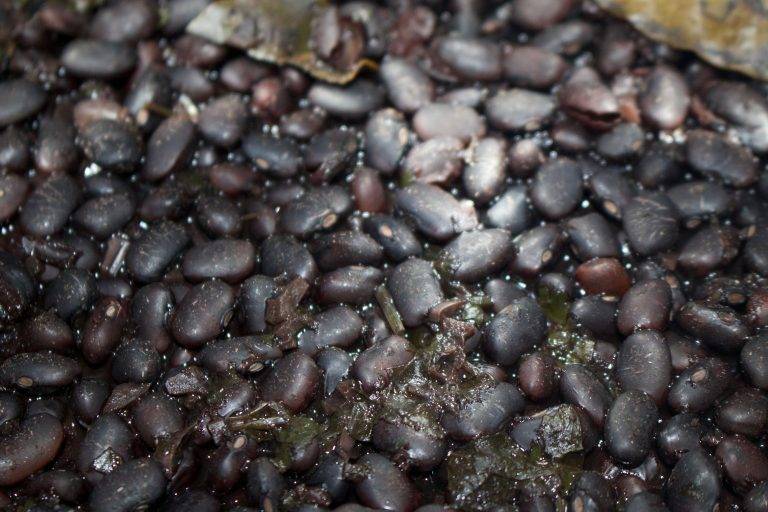 Black Beans - Cut The Crap Kitchen - Costa Rica