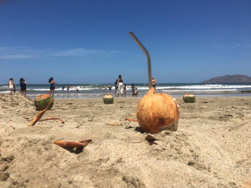 Coconut Water - Cut The Crap Kitchen - Costa Rica