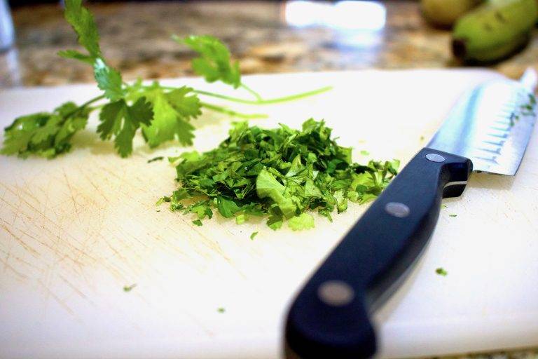 Cilantro - Cut The Crap Kitchen - Costa Rica