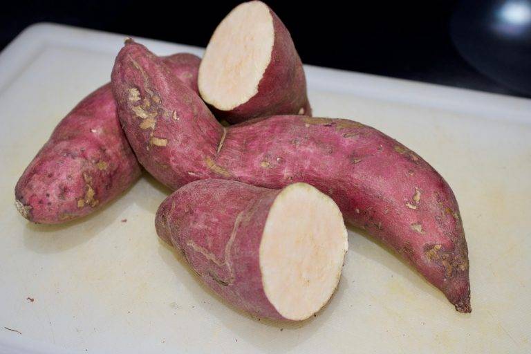 Camote Sweet Potato - Cut The Crap Kitchen - Costa Rica