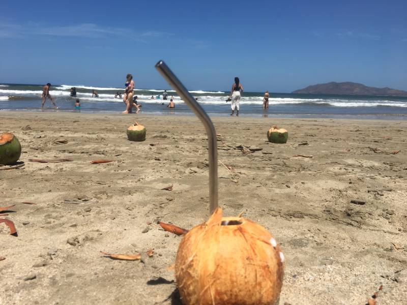 Coconut Water - Cut The Crap Kitchen - Costa Rica