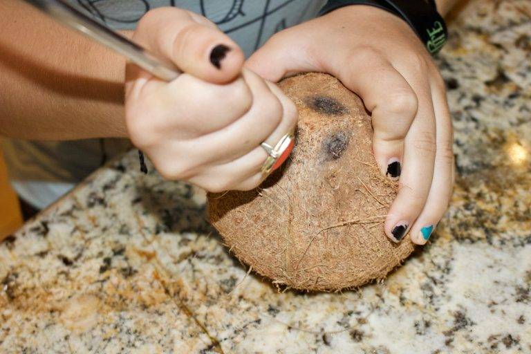 Coconut Water - Cut The Crap Kitchen - Costa Rica