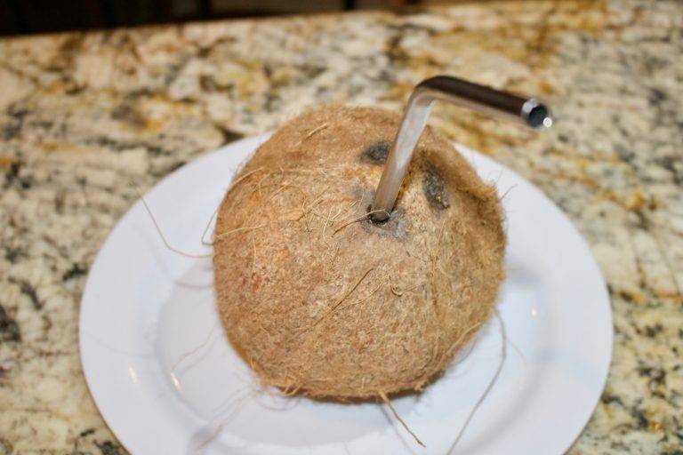 Coconut Water - Cut The Crap Kitchen - Costa Rica